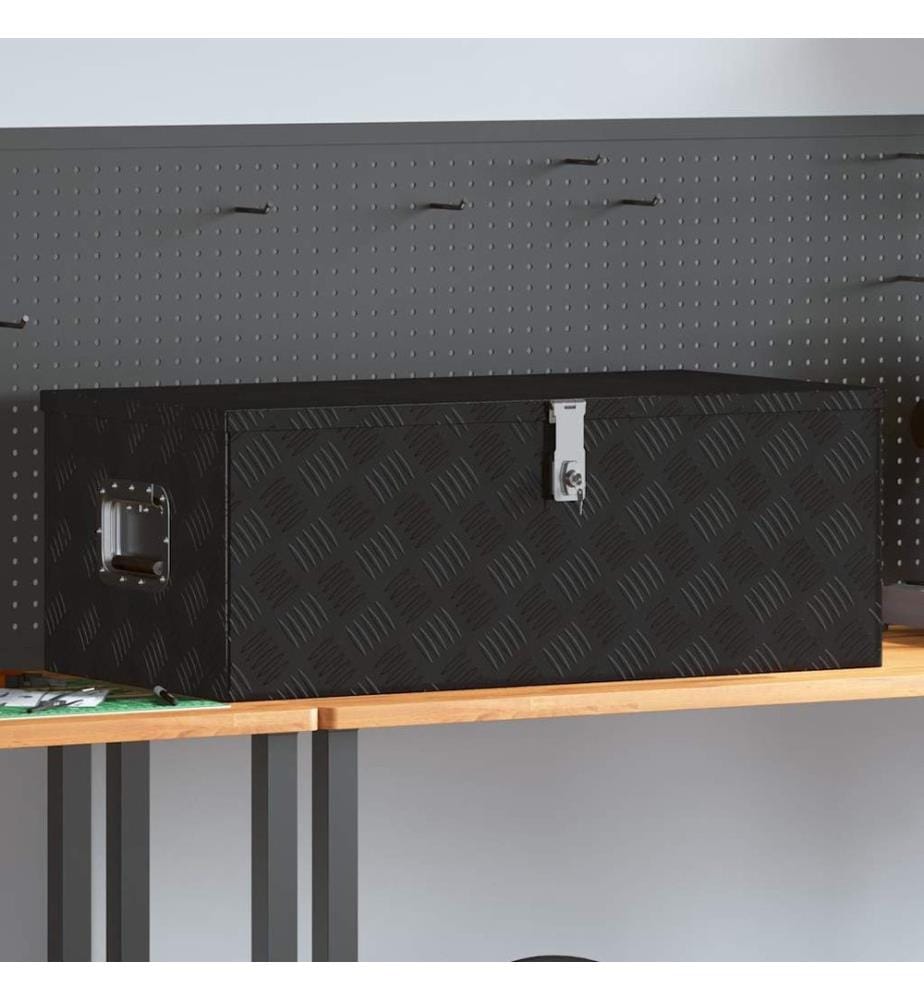 Aufbewahrungsbox Schwarz 90x47x33,5 cm Aluminium