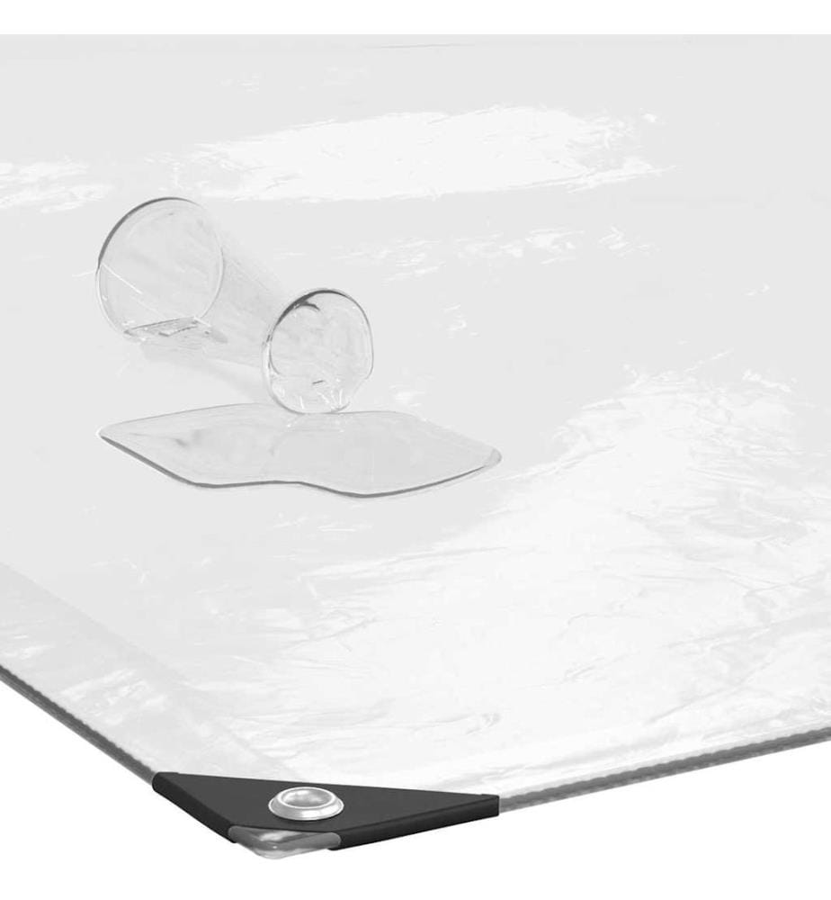 Bâche transparente avec oeillets 2x12 m polyéthylène