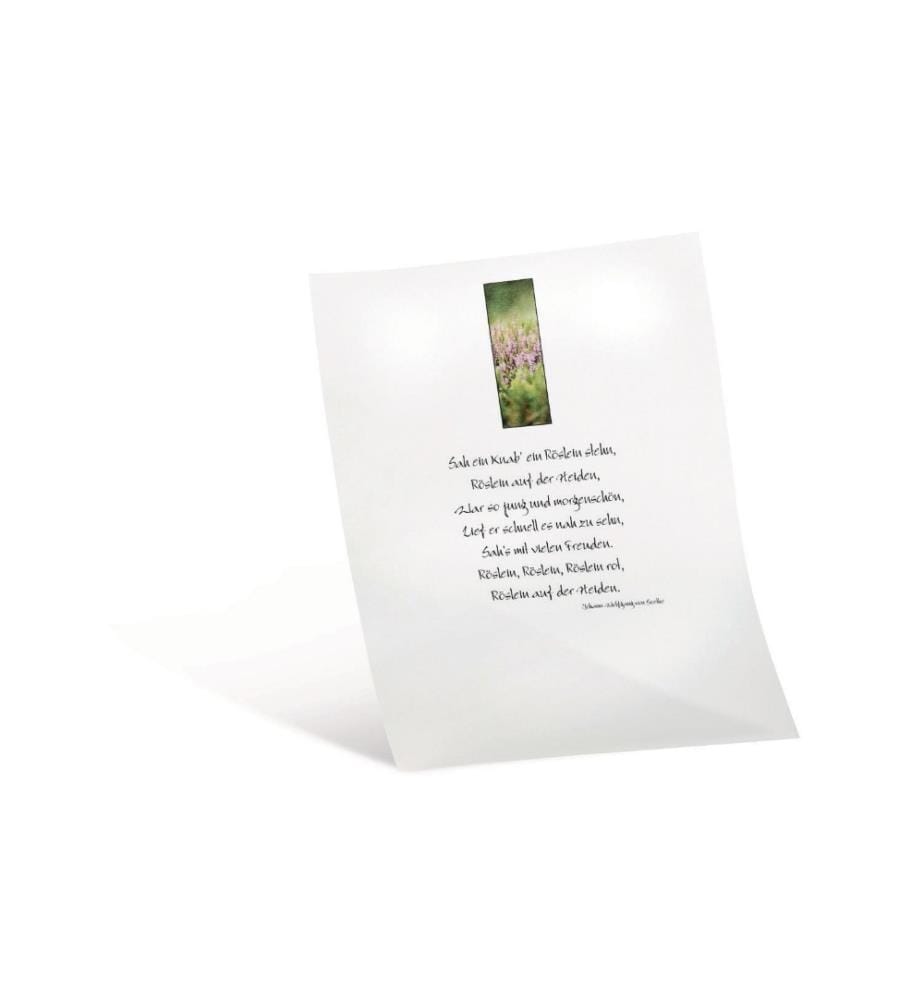 FOLIA - Transparentpapier A4, 115 g/m²,  10 Stück, Weiss