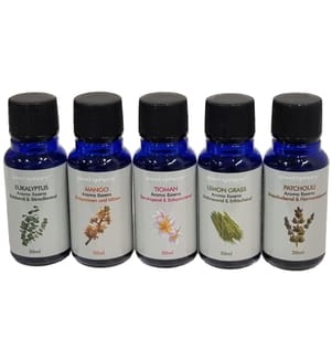 GOODSPHERE - Kits d'huile parfumée Harmony Beginners, 5 x 30 ml