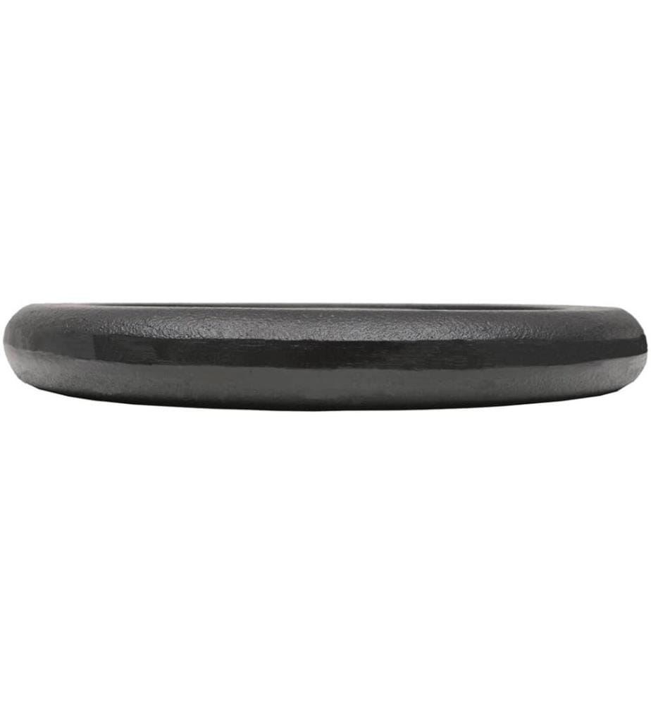 Plaque de poids 2 pcs 2x10 kg Fonte