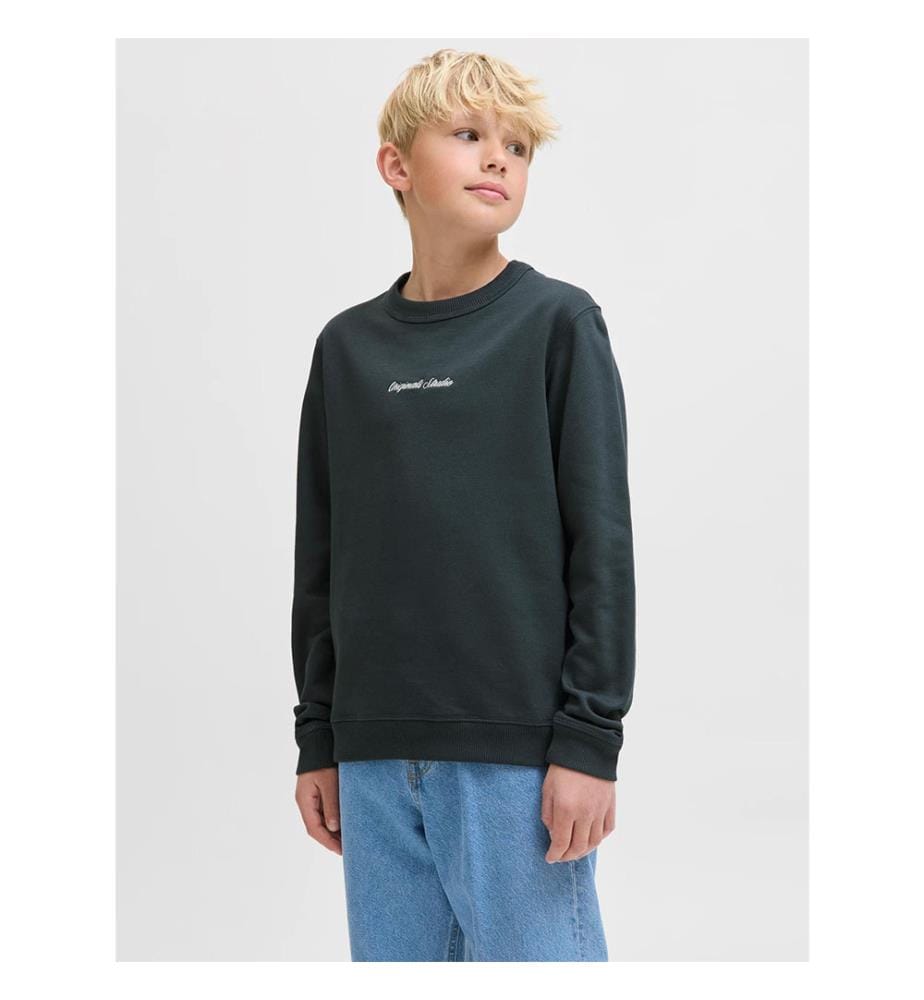 Sweatshirt - Antikweiss