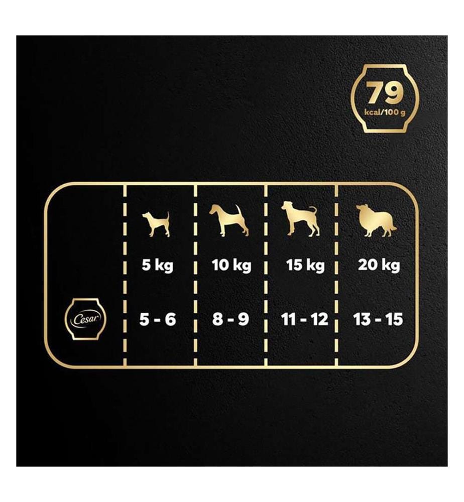 10x Frischhalte-Schalen mit Hähnchen, Süsskartoffeln, grünen Bohnen und Gerste - 85 g