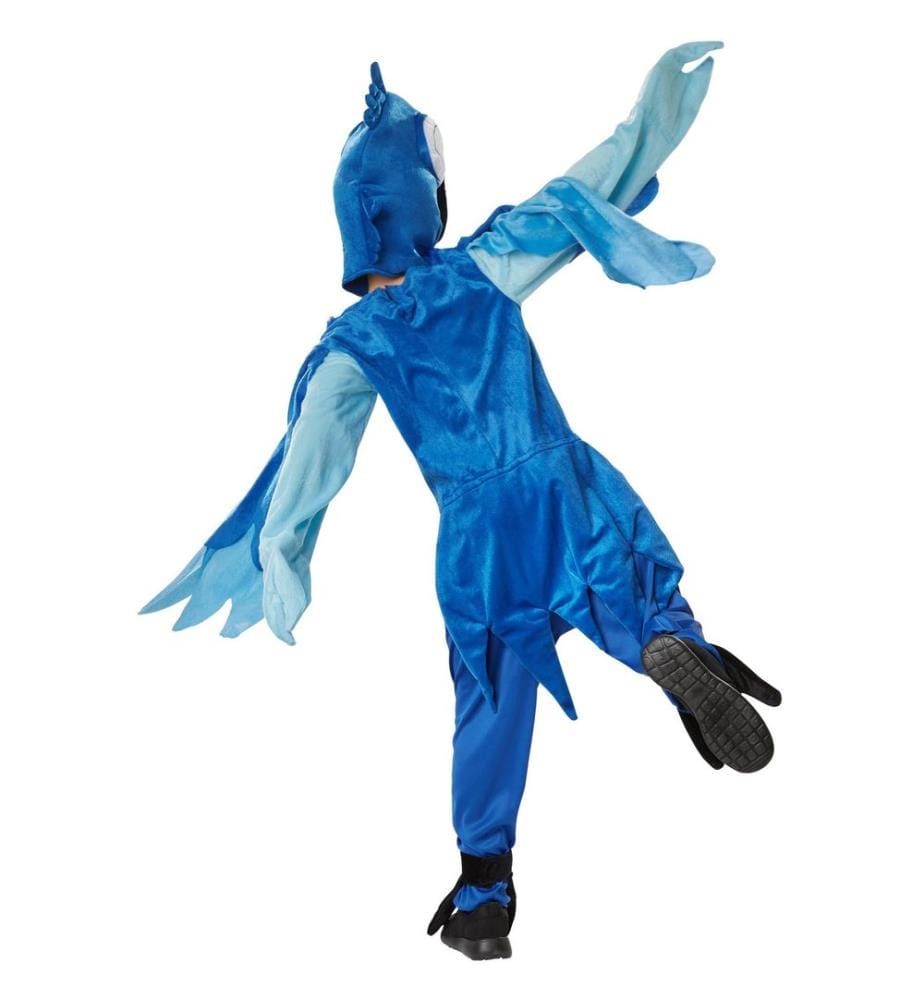 Drôle d'ara bleu