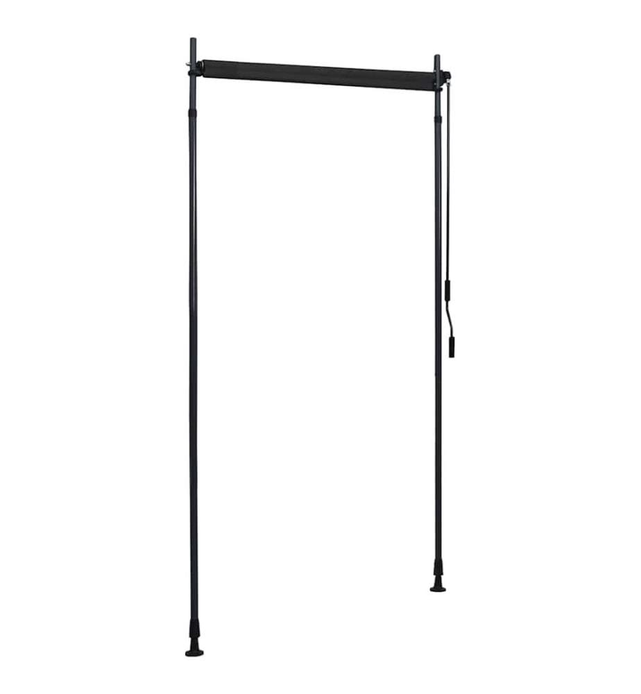 Store roulant d'extérieur 100 x 270 cm Anthracite