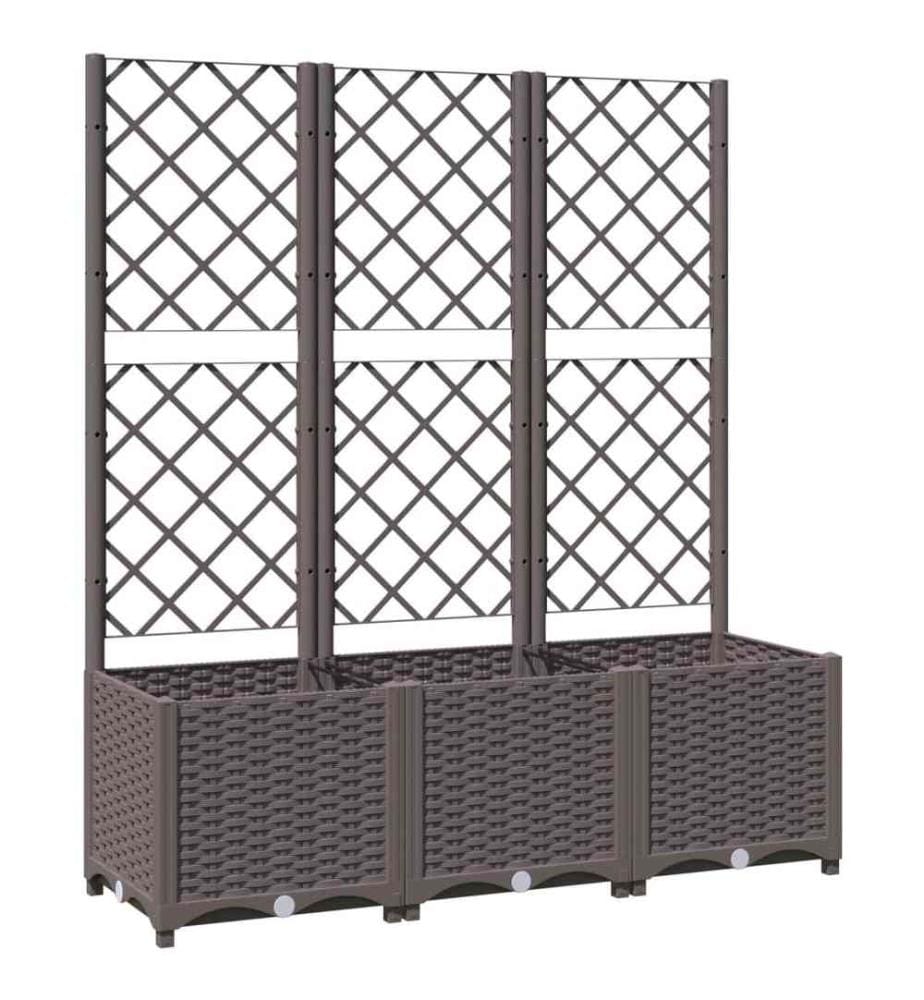Pflanzkübel mit Rankgitter Braun 120x40x136 cm PP
