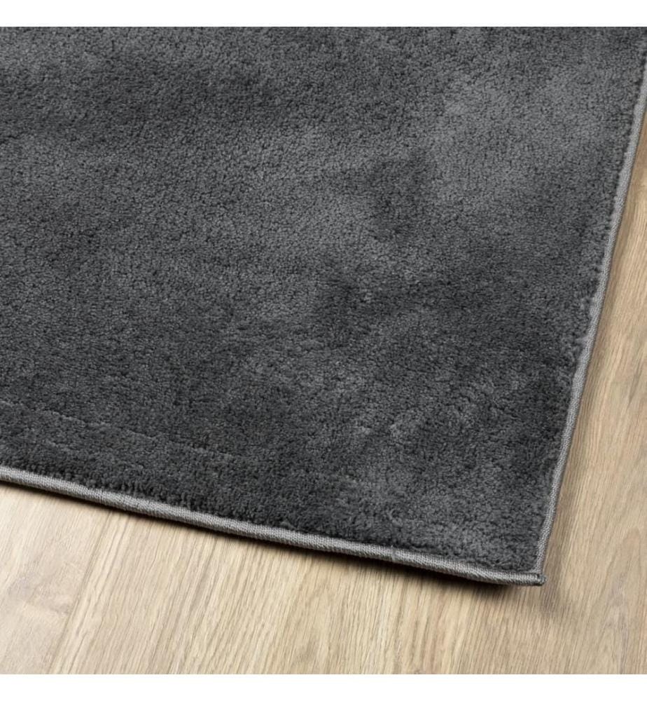 Teppich OVIEDO Kurzflor Anthrazit 160x230 cm