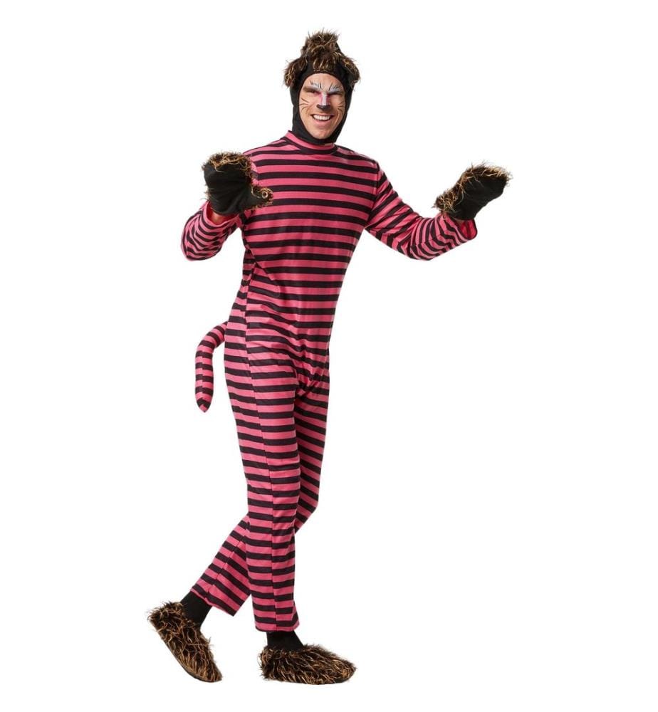 Costume Animal man-cheshire cat 1