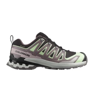 XA PRO 3D V9 GTX Trailrunning-Schuhe - Schwarz & Patina Green & Gray Violet
