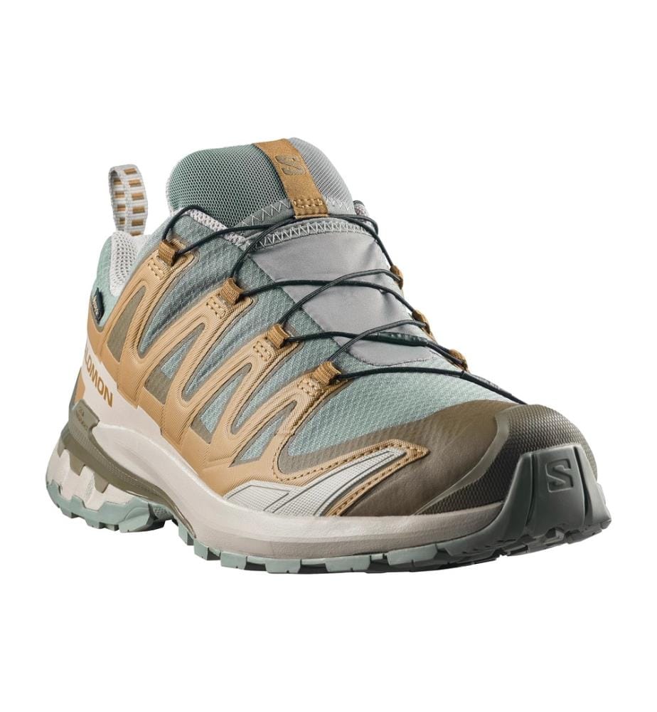 XA PRO 3D V9 GTX Trailrunning-Schuhe - Sedona Sage & Brilliant Olive & Paloma