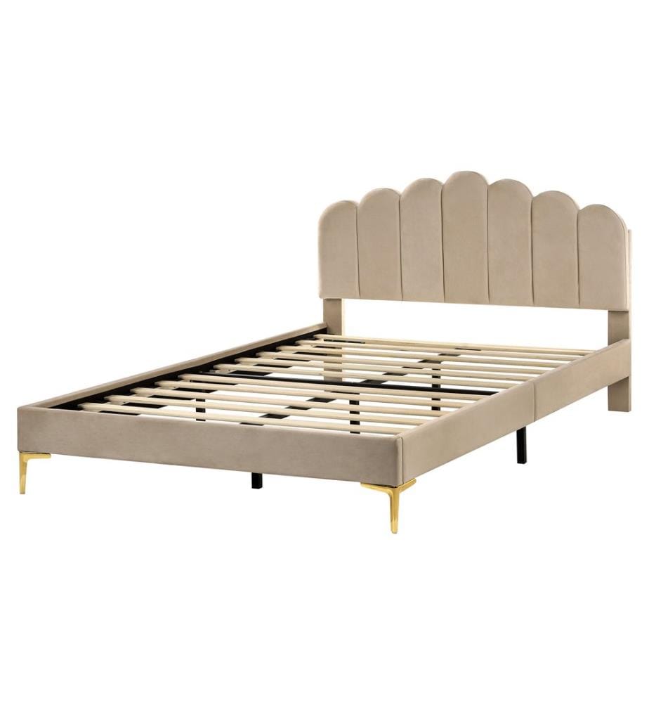 Letto Velluto SAUVIAN 160 x 200 cm Tortora