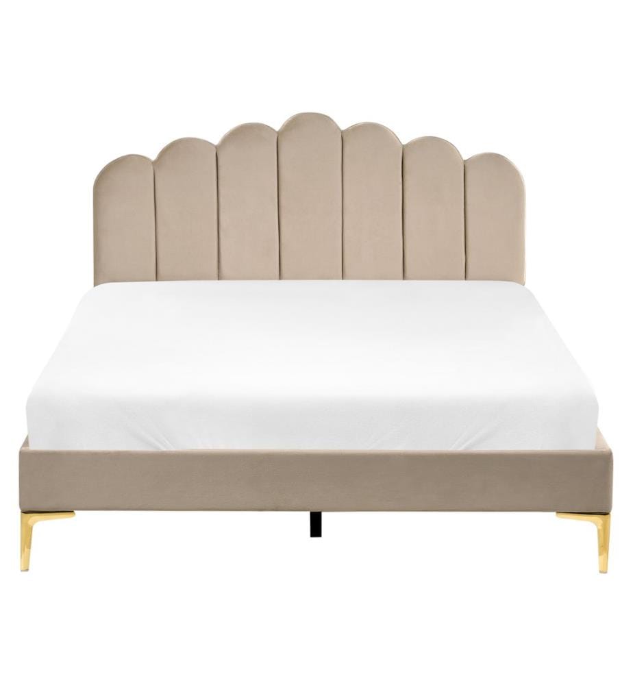 Letto Velluto SAUVIAN 160 x 200 cm Tortora