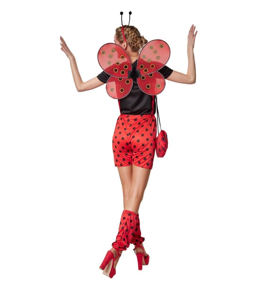 Coccinella Marina