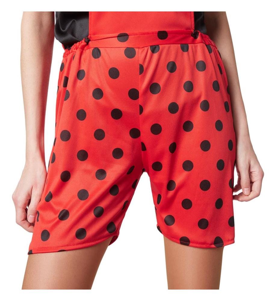 Coccinella Marina