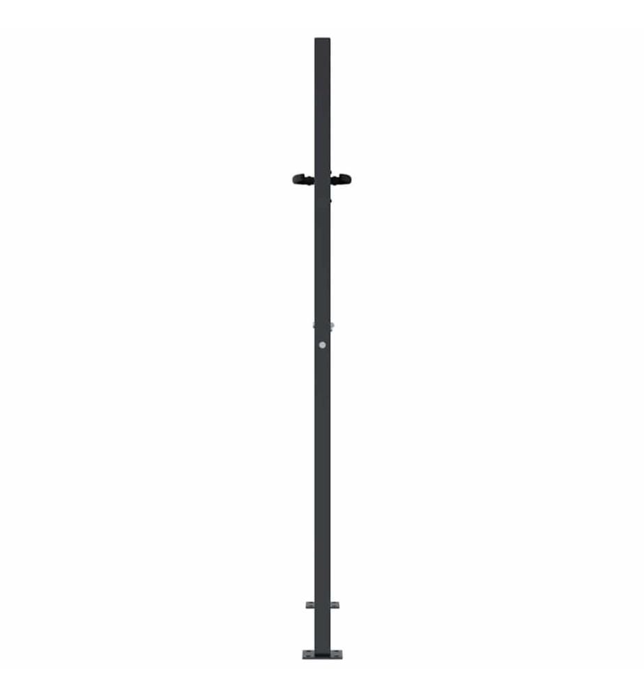 Portail de jardin Anthracite 100x150 cm Acier Design Herbe