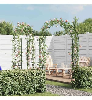 Arche de jardin 2 pcs pour plantes grimpantes