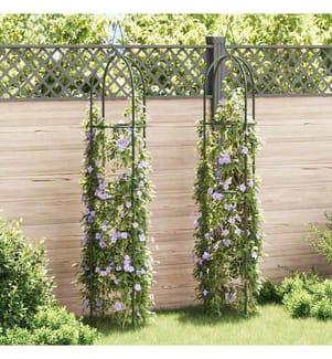 Arche de jardin en forme de tour 2 pcs