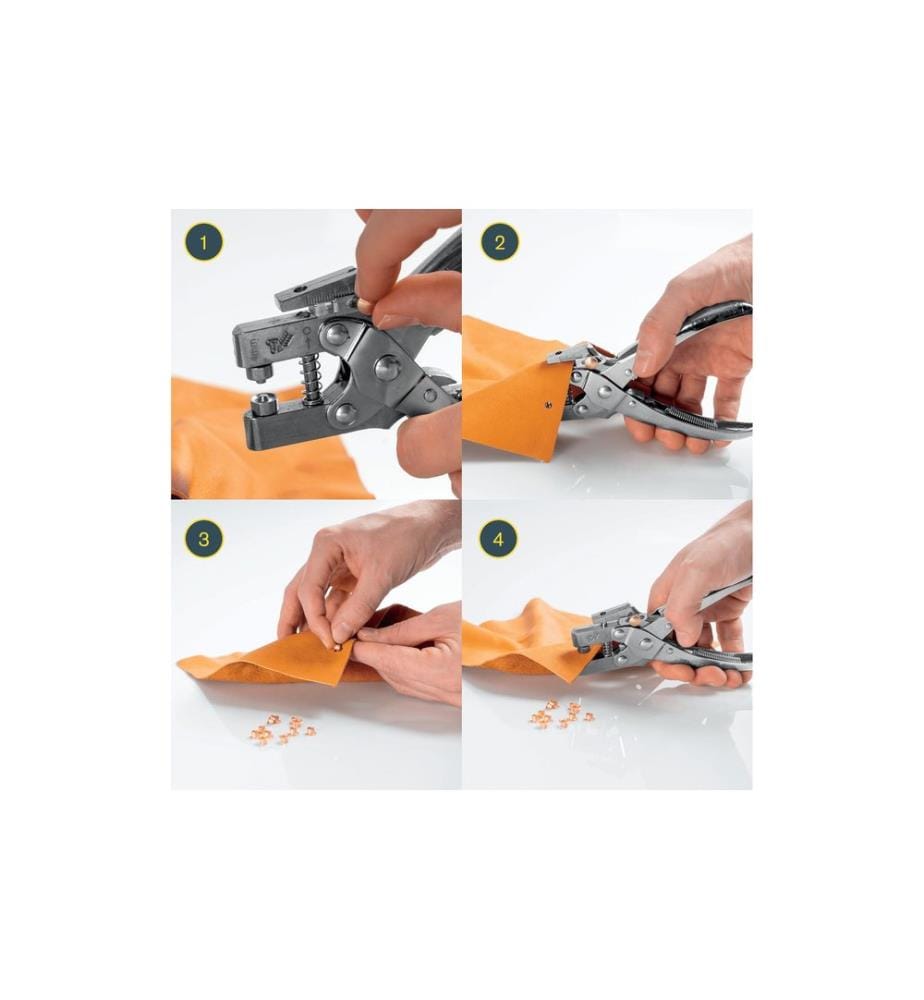 Rapid Pince perforatrice RP05 y compris 105 oeillets