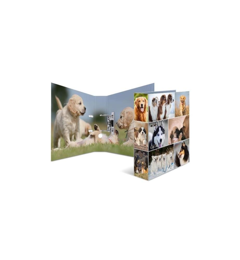 HERMA - Dossier Hunde 7 cm, Mehrfarbig
