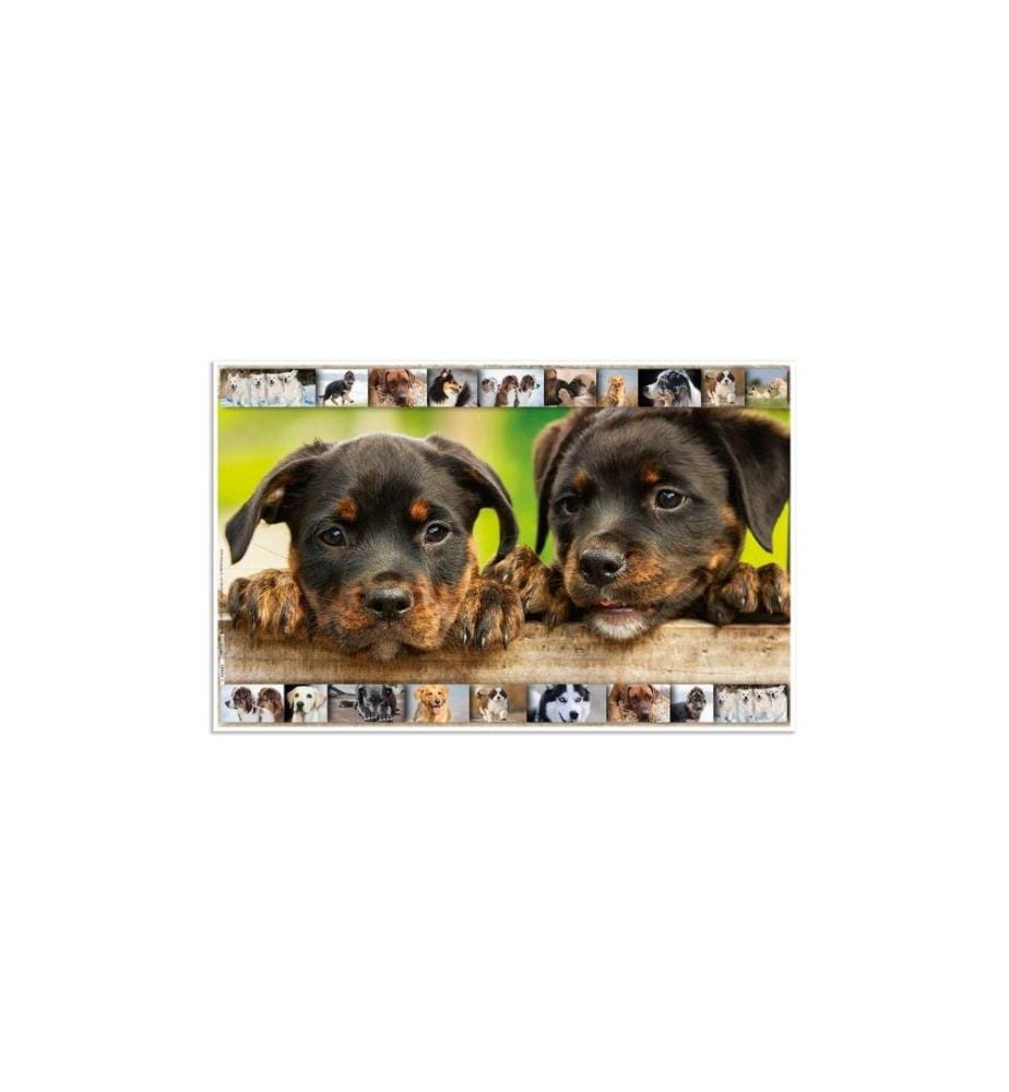 HERMA - Sous-main Hunde 55 x 35 cm