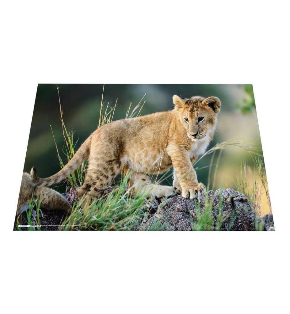 HERMA - Sous-main Les animaux d'Afrique 55 x 35 cm