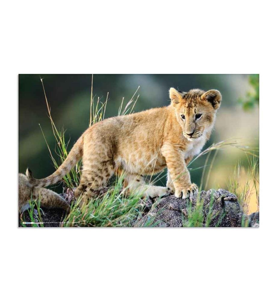 HERMA - Sous-main Les animaux d'Afrique 55 x 35 cm
