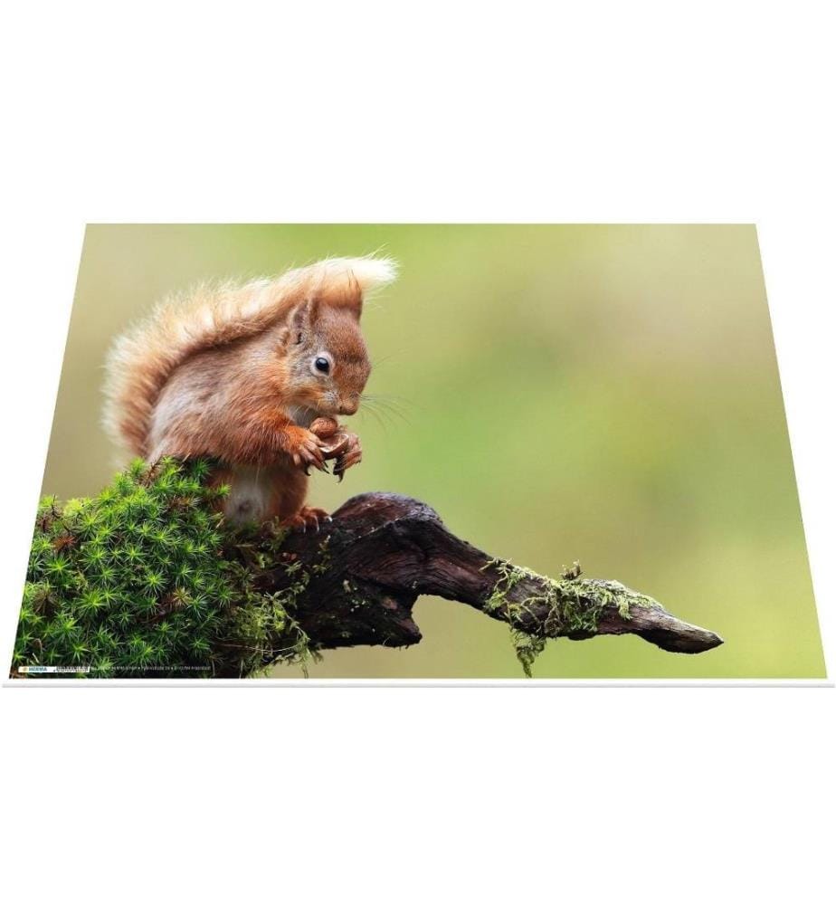 HERMA - Schreibunterlage Waldtiere 55 x 35 cm