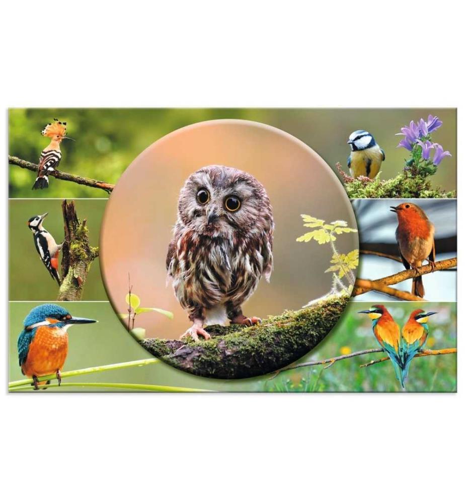 HERMA - Schreibunterlage Heimatvögel 55 x 35 cm