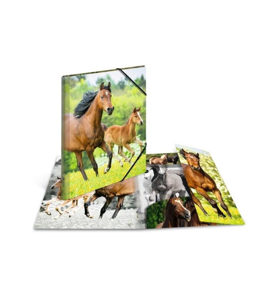 HERMA - Portfolio à ruban élastique A3 Chevaux, polypropylène, avec impression intérieure