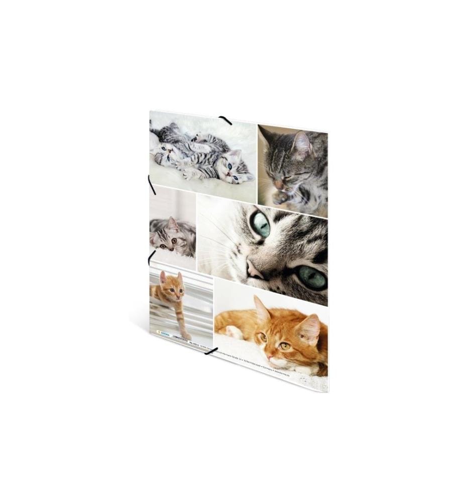 HERMA - Portfolio à ruban élastique A4 Chats, carton, avec impression intérieure