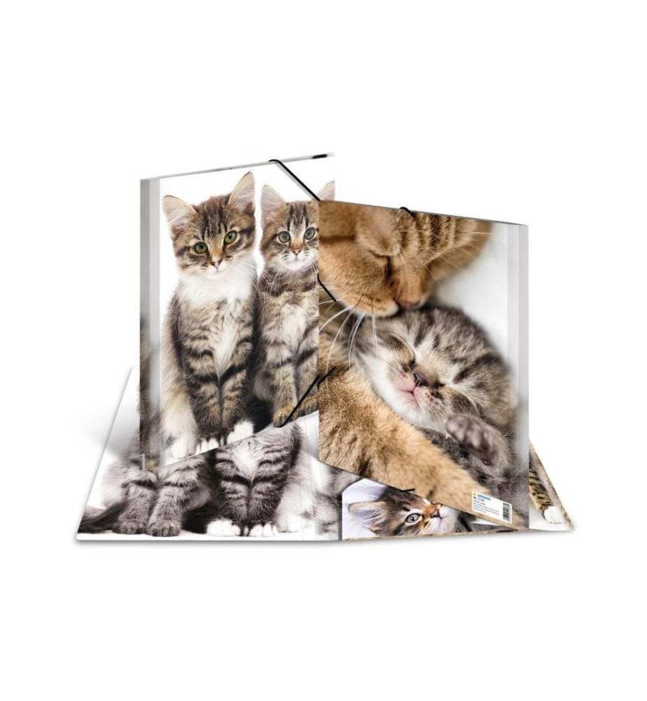 HERMA - Portfolio à ruban élastique A4 Chats, polypropylène, avec impression intérieure
