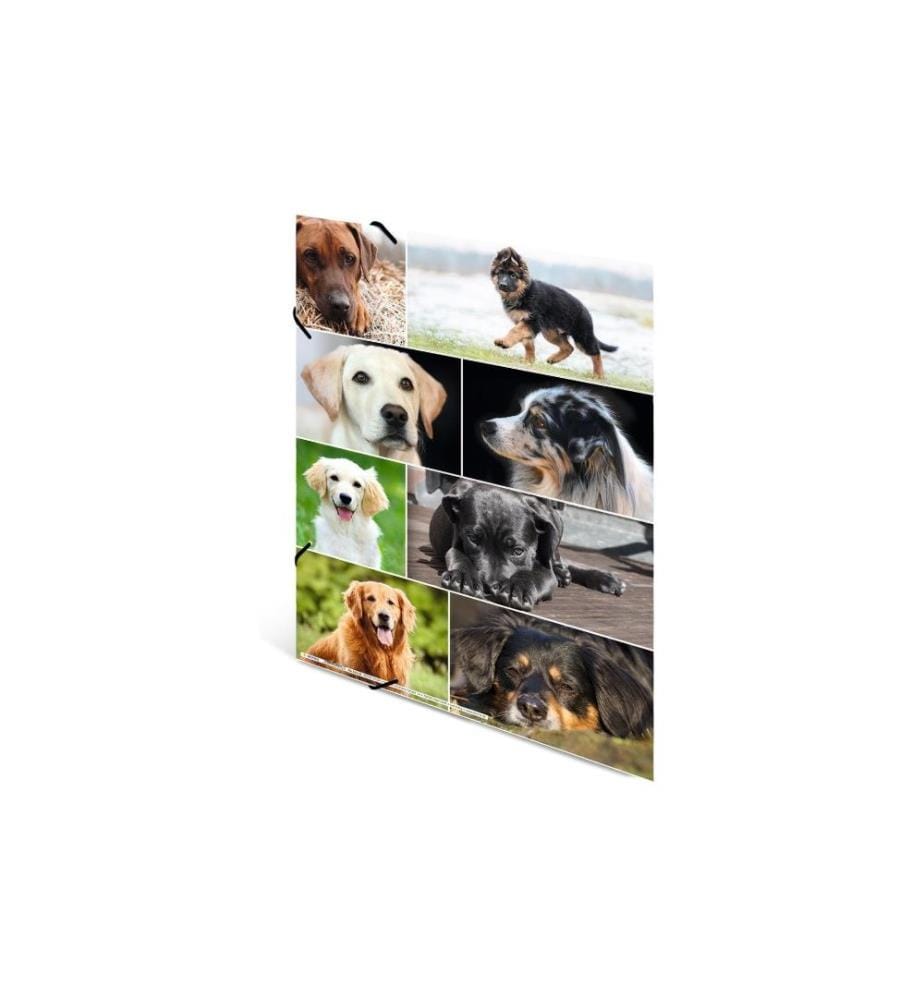 HERMA - Gummibandmappe A3 Hunde, Karton, mit Innendruck