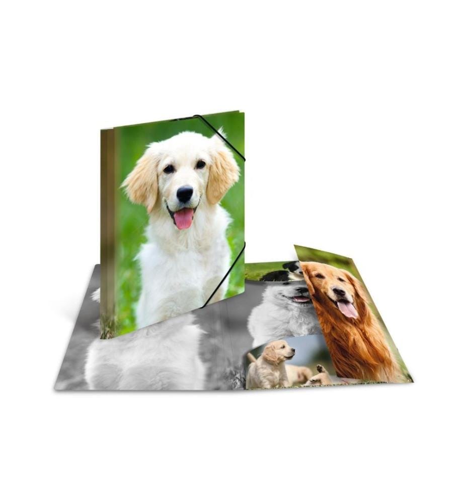 HERMA - Portfolio à ruban élastique A4 Chiens, polypropylène, avec impression intérieure