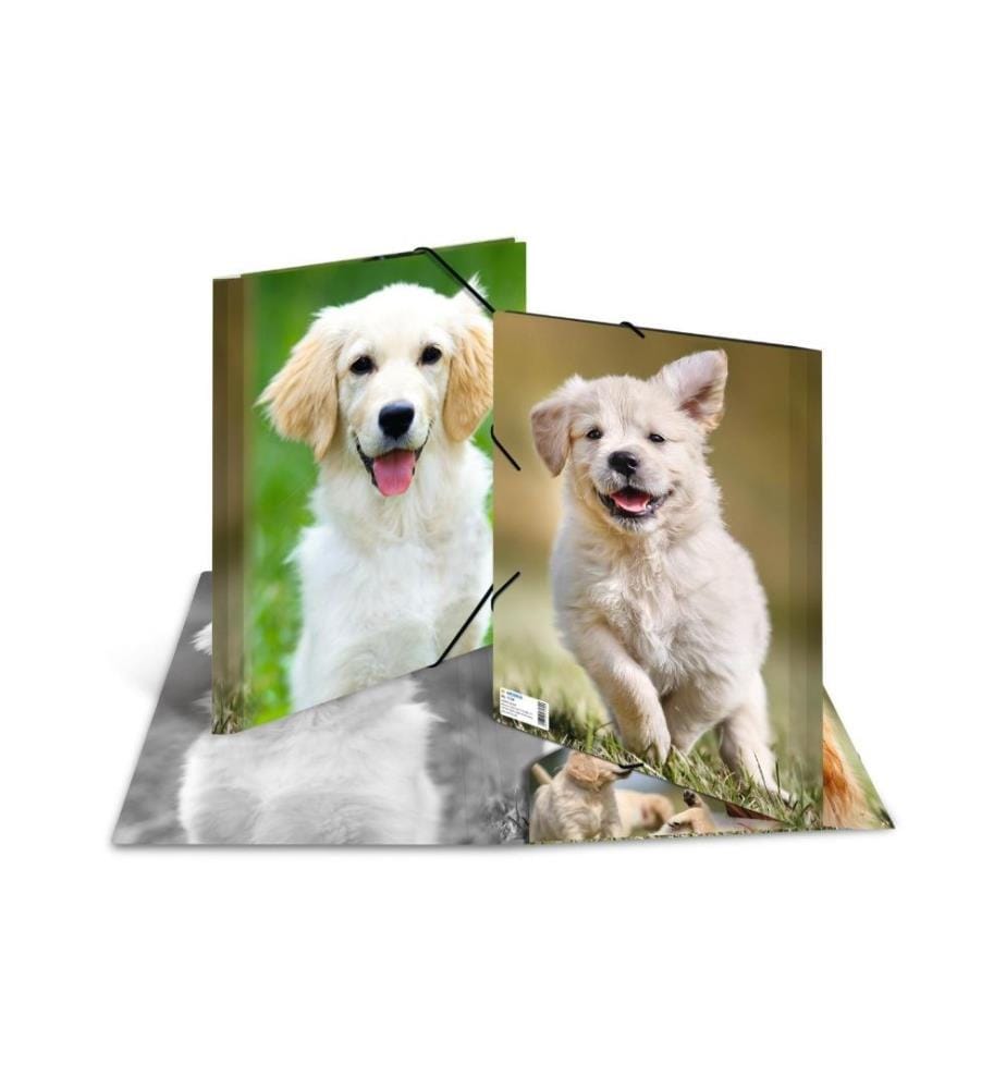 HERMA - Portfolio à ruban élastique A4 Chiens, polypropylène, avec impression intérieure