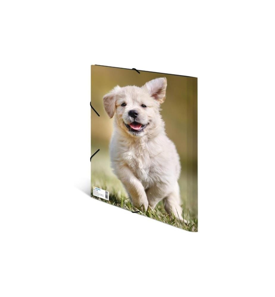 HERMA - Portfolio à ruban élastique A4 Chiens, polypropylène, avec impression intérieure