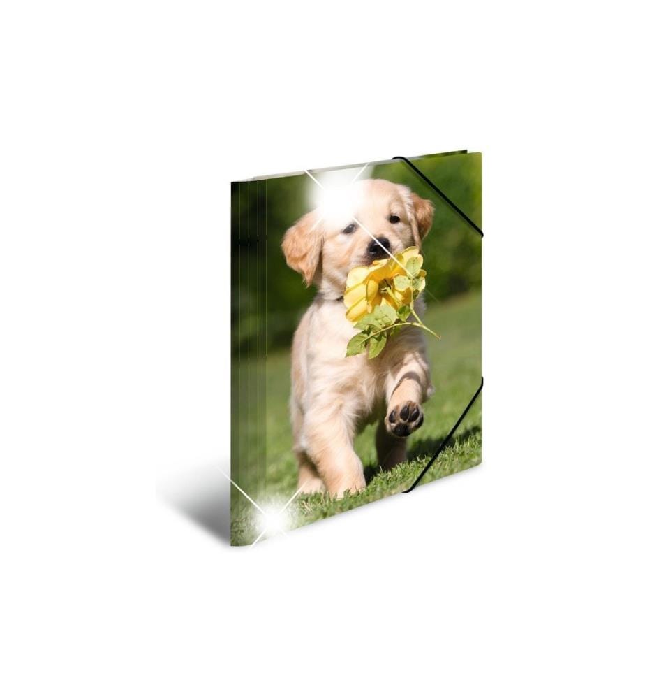 HERMA - Portfolio à ruban élastique A4 Chiens, polypropylène, avec impression intérieure
