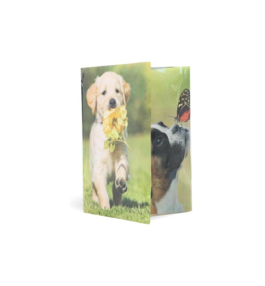 HERMA - Portfolio à ruban élastique A4 Chiens, polypropylène, avec impression intérieure