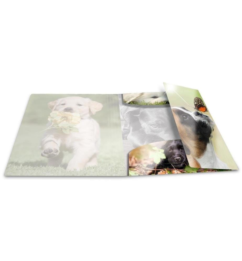 HERMA - Portfolio à ruban élastique A4 Chiens, polypropylène, avec impression intérieure
