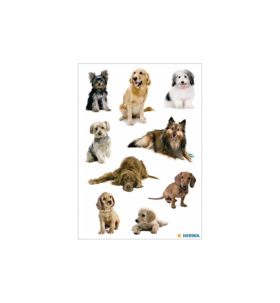 HERMA - Stickers Autocollant à motif Photos de chiens, 3 feuilles