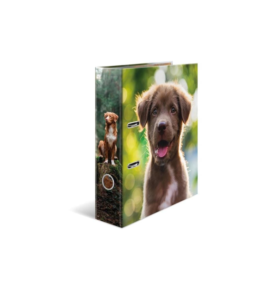 HERMA - Motiv-Ordner A4 Hund 1 Stück
