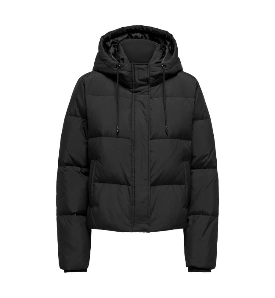Alice Jacket - Black