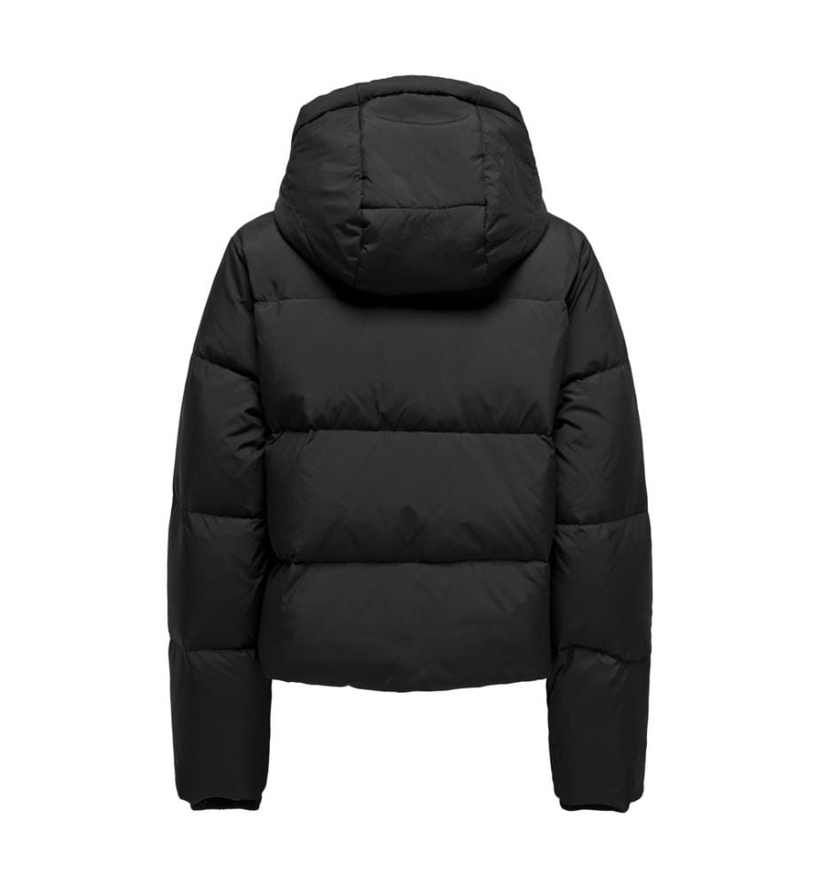 Alice Jacket - Black