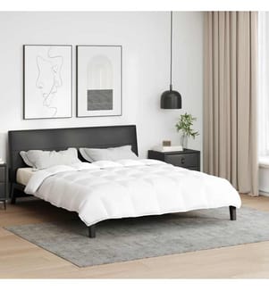 Couette Blanc 240 x 200 cm Plume