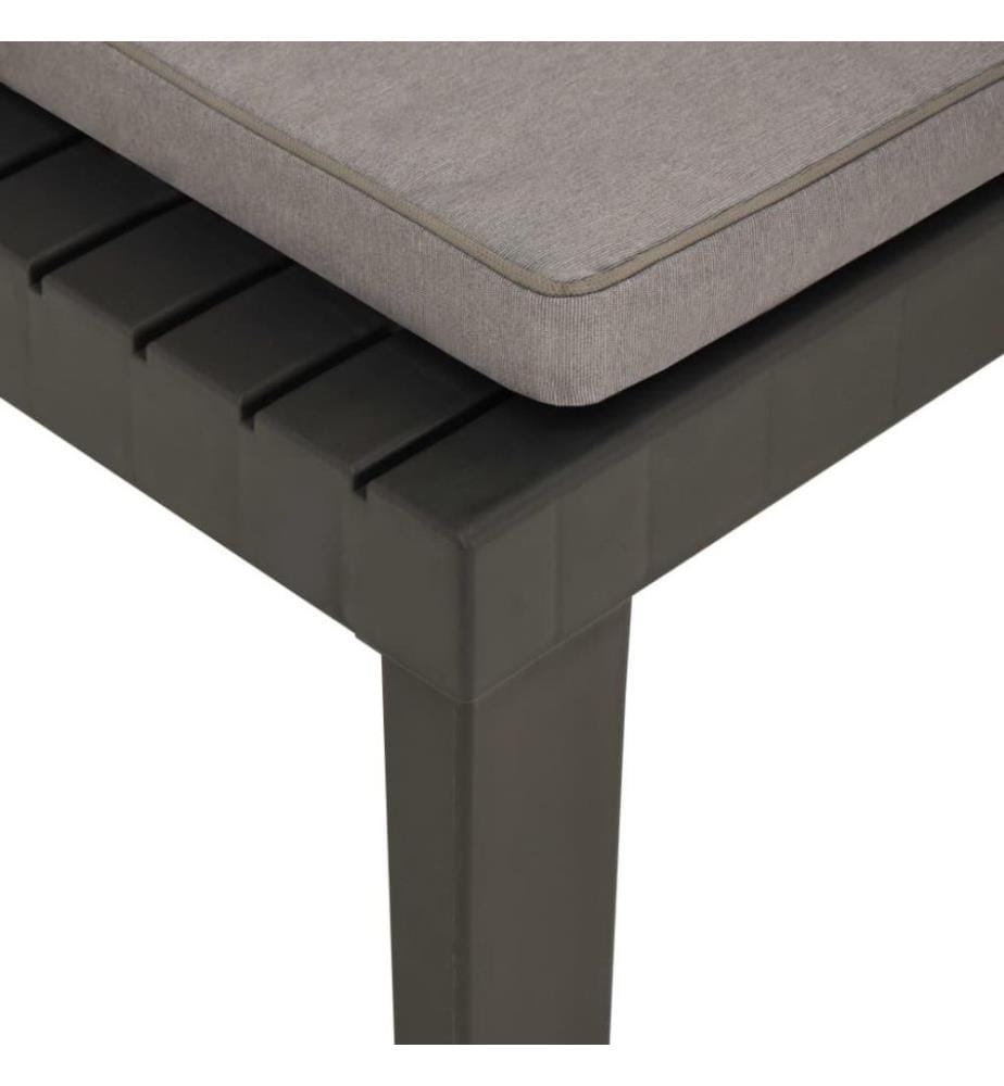Chaise de salon de jardin avec coussin Plastique Gris