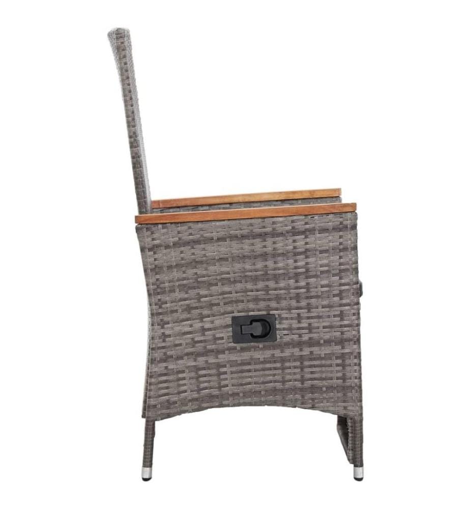 Chaise inclinable de jardin 2pc et coussins Résine tressée Gris