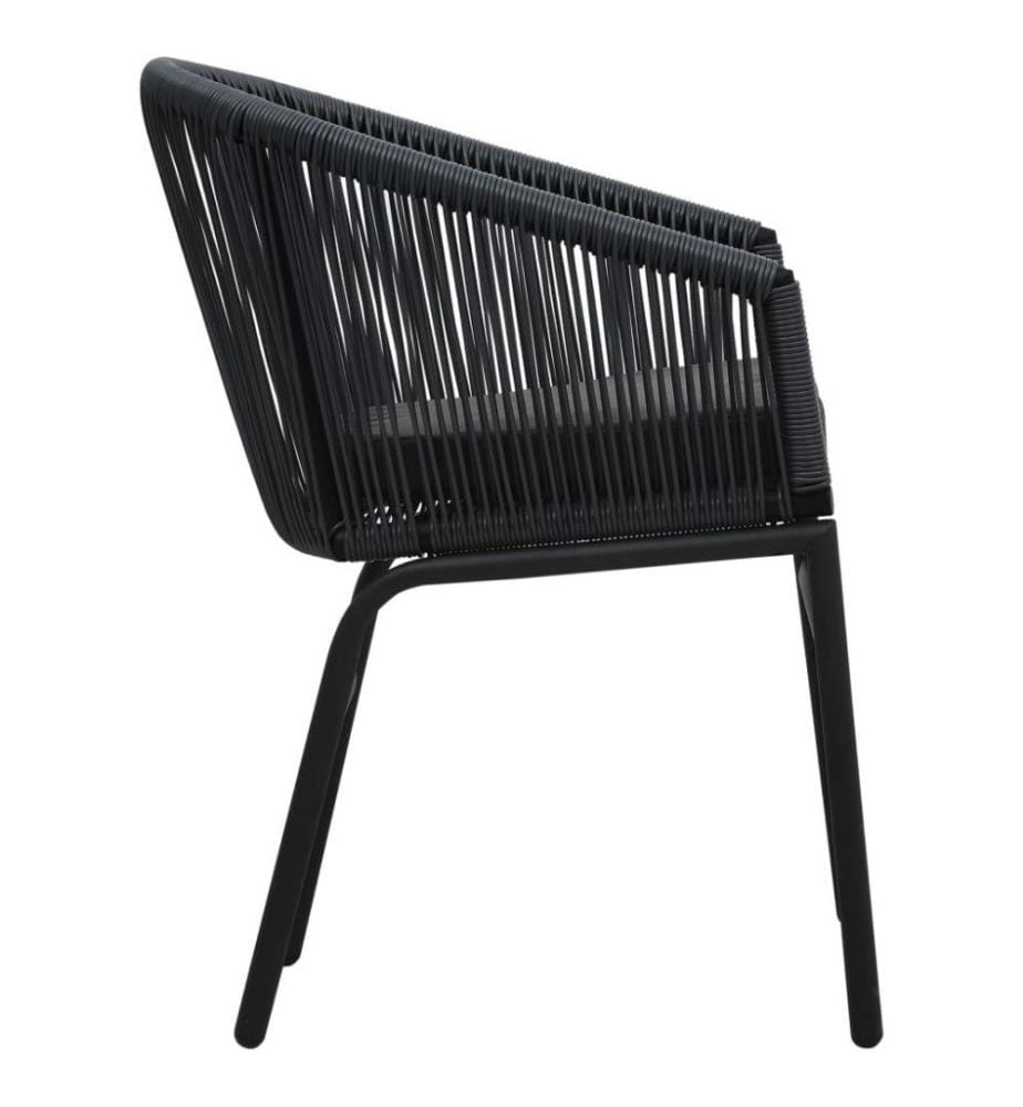 Chaises de jardin 2 pcs Noir Rotin PE