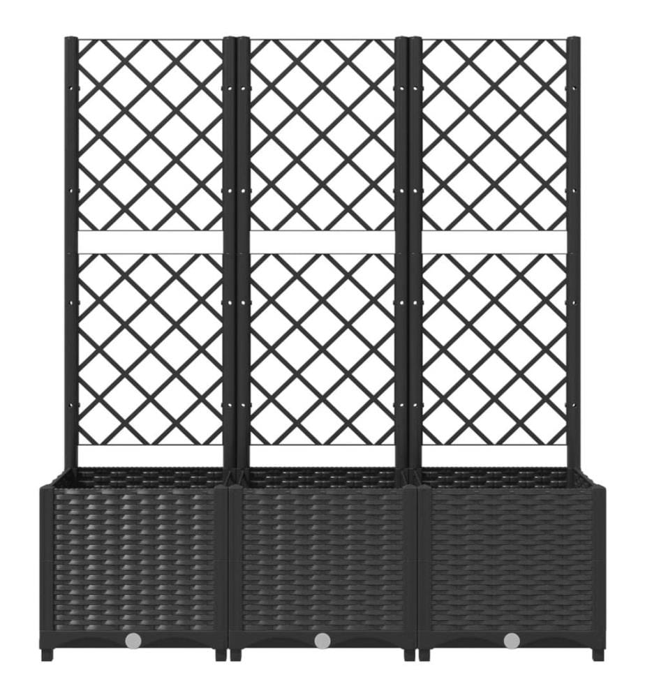 Garten-Pflanzgefäss mit Spalier Schwarz 120 x 40 x 136 cm PP