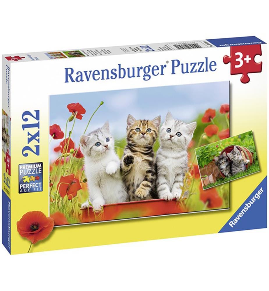 Play+ Aktivitätskissen Nashorn – ab 0 Monaten"