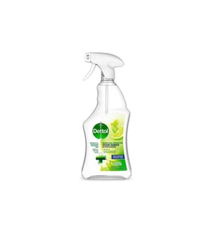DETTOL - Désinfection Nettoyant hygiène Citron vert & menthe 750 ml