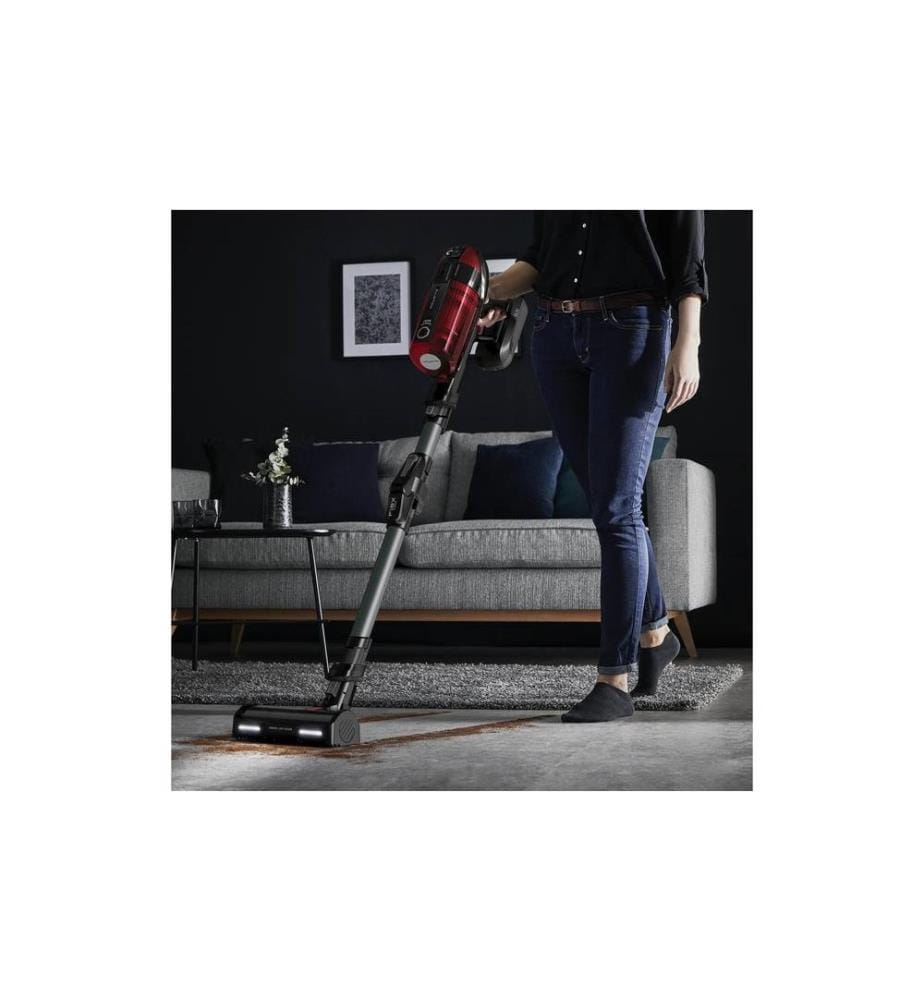 Rowenta - Akku-Hand- und Stielsauger X-Force Flex 12.60 Animal Care